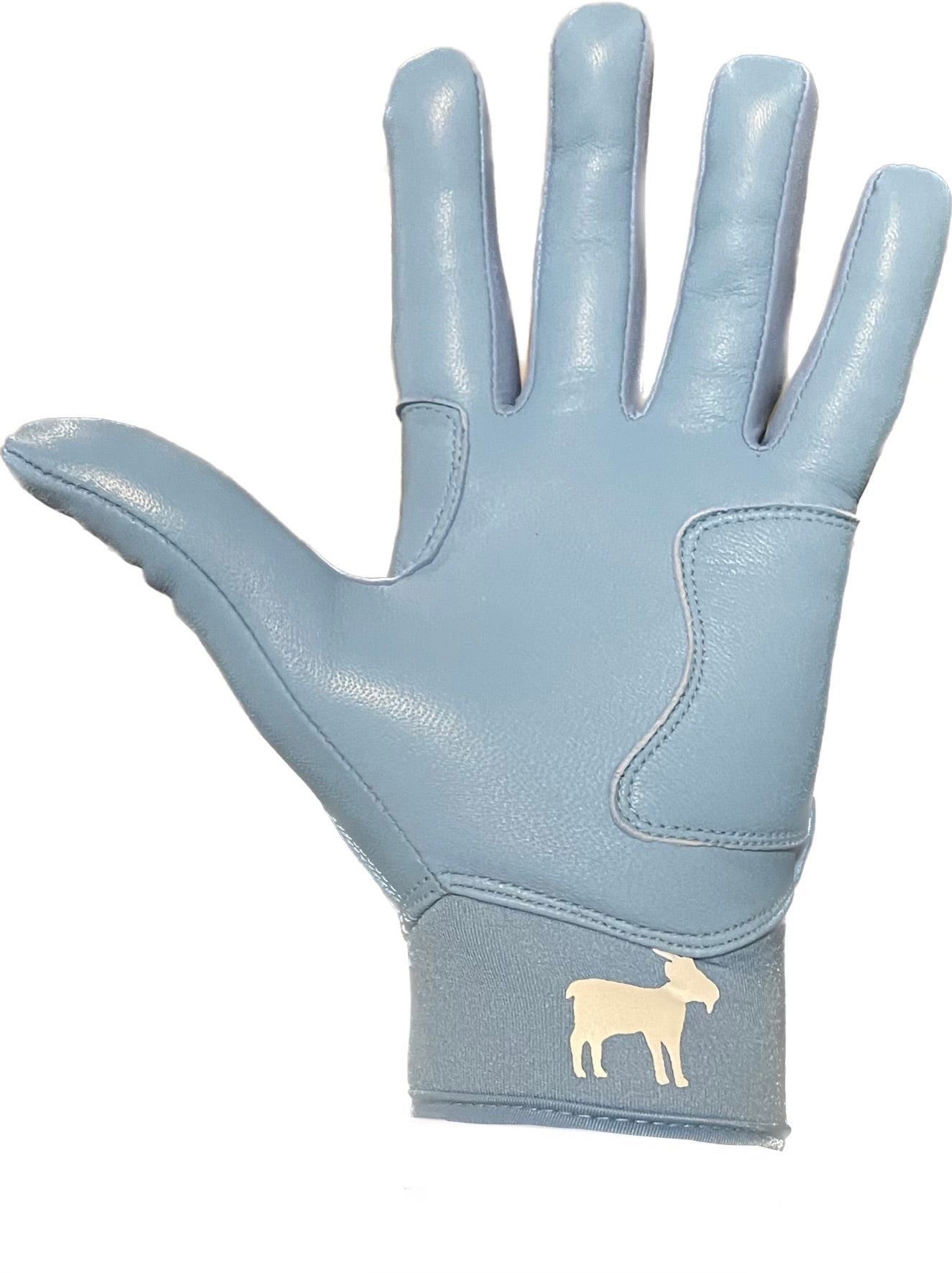 Elite Series Batting Gloves Baby Blue