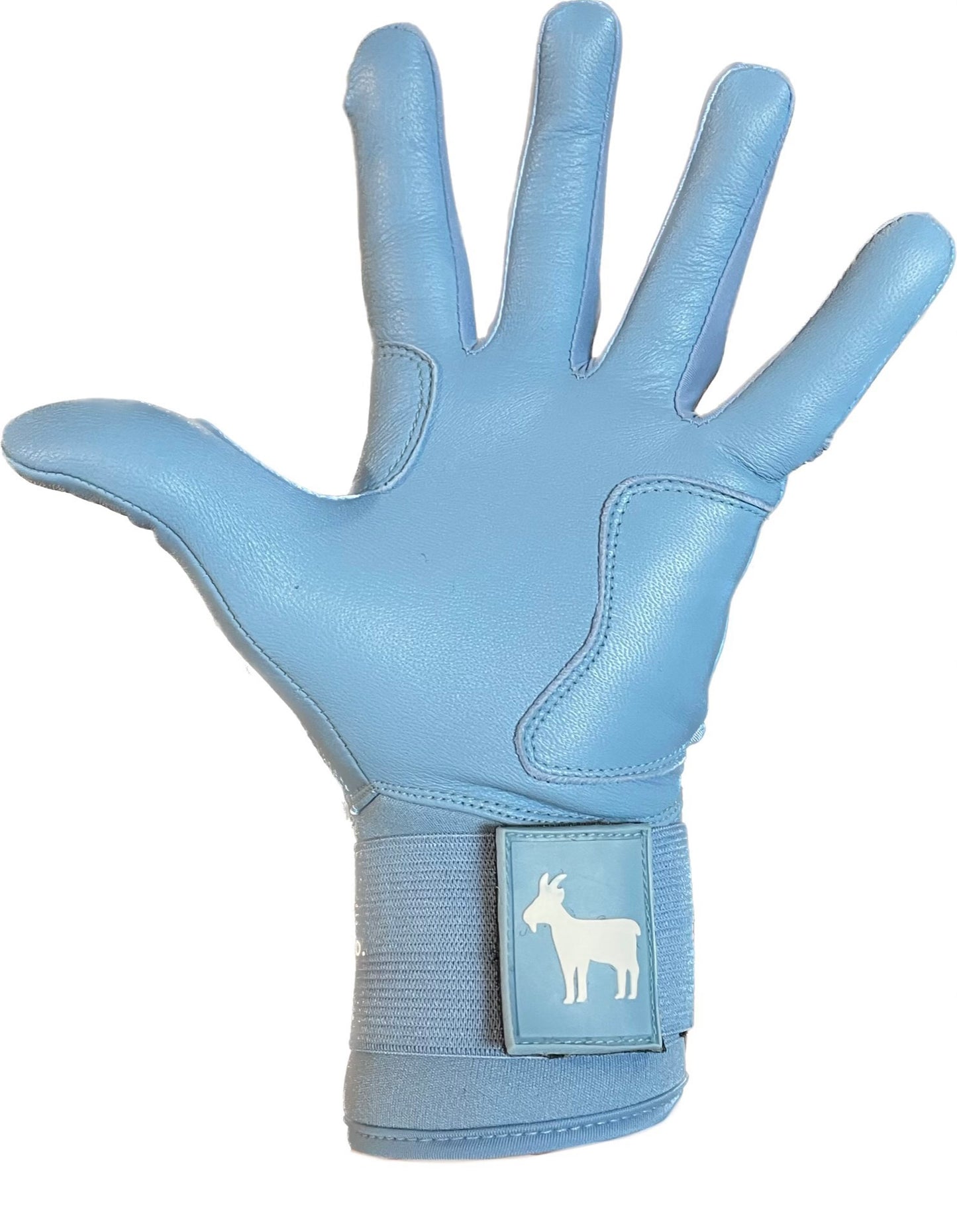 Elite Series Extended Cuff Batting Gloves Baby Blue