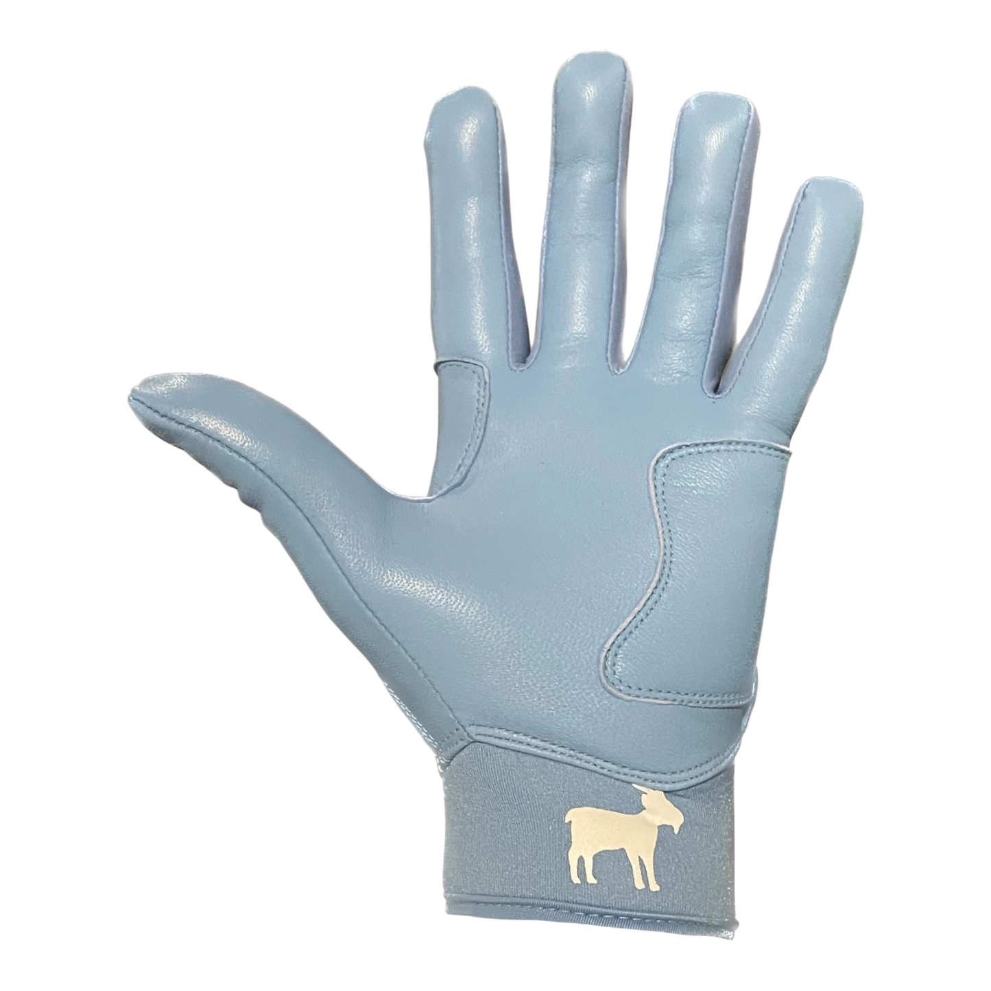 Elite Series Batting Gloves Baby Blue