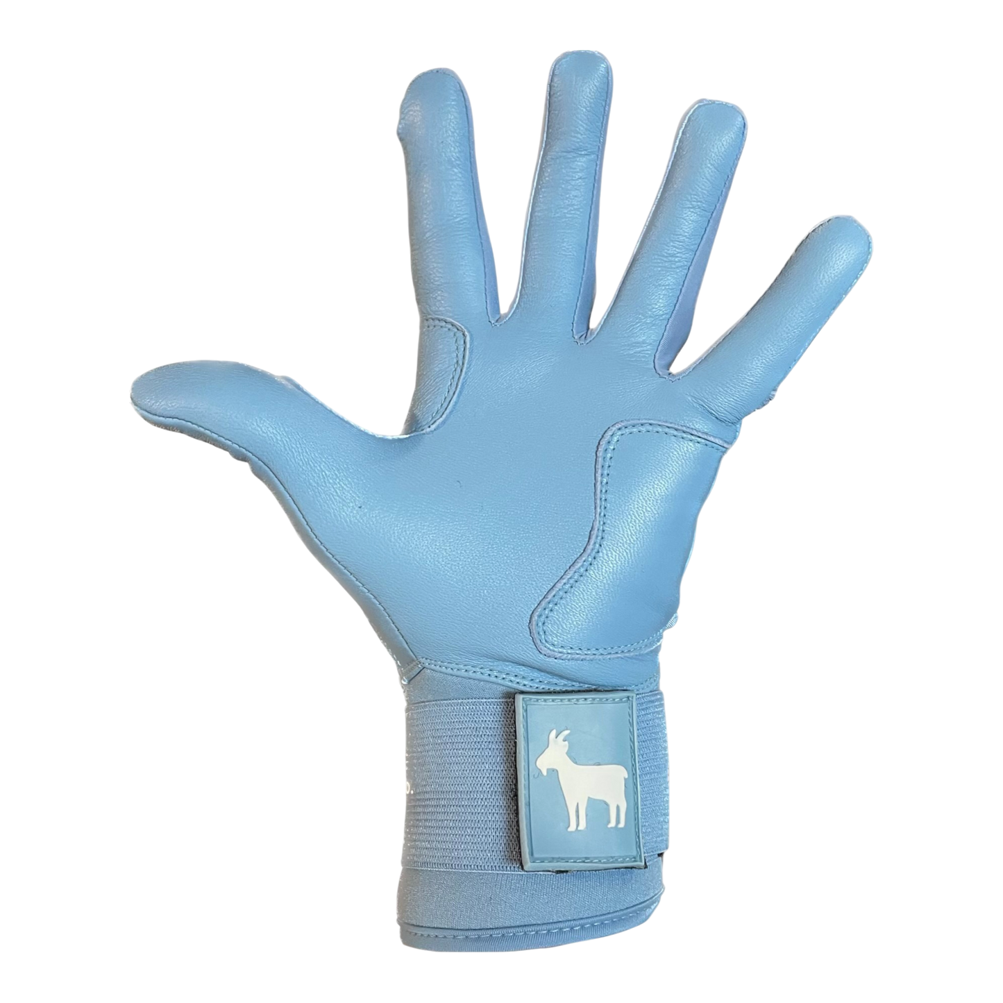 Elite Series Extended Cuff Batting Gloves Baby Blue